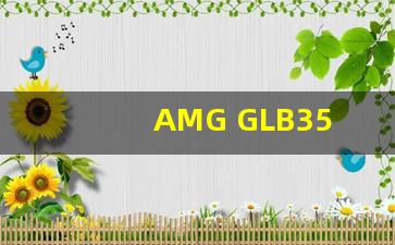 AMG GLB35